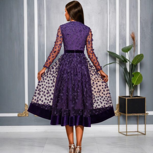 O1CN01PAQGi81mNURQgA8EQ_2550074942-0-cib.jpg Round Neck Sheer 3D Plum Blossom Long Sleeve Dress Velvet Waist A-Line