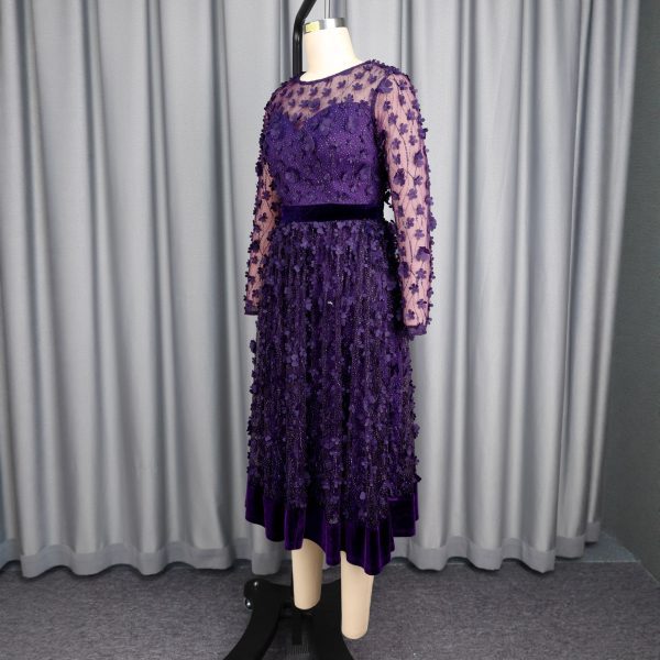 O1CN01gNbz7W1mNURSeI8OT_2550074942-0-cib.jpg Round Neck Sheer 3D Plum Blossom Long Sleeve Dress Velvet Waist A-Line